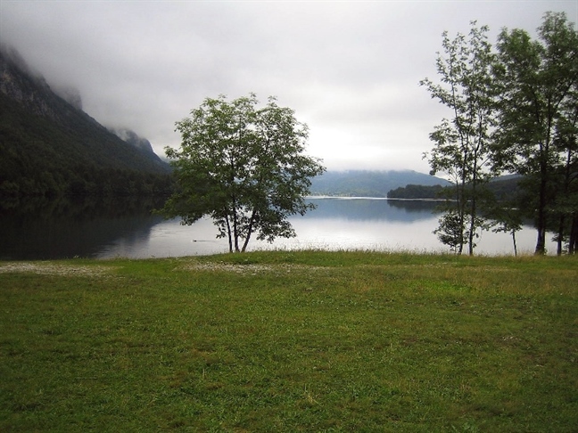 Slovenija ostaja v vrhu med državami EU po deležu območja Nature 2000